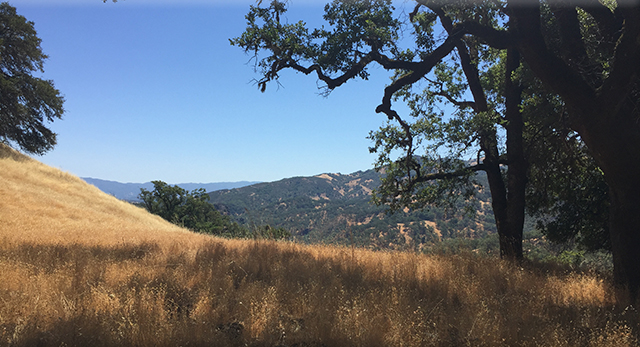 Ukiah Real Estate, Cindy Lindgren - The Landlady, Hoe Road
