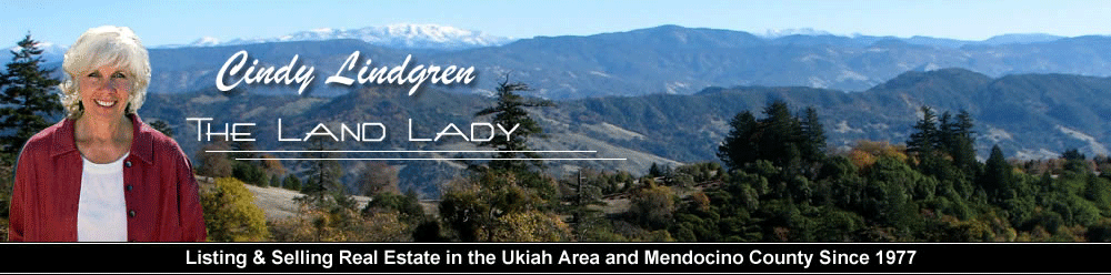 Cindy Lindgren The Landlady Banner