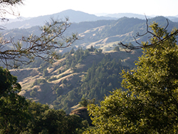 Running Springs Ranch Road, Ukiah, CA