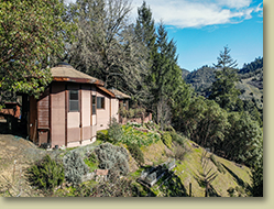Country home and property for sale with The Landlady - Robinson Creek Road