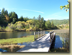 Mendocino County Real Estate, Cindy Lindgren - The Landlady, Black Bart Trail, Redwood Valley