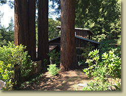 Ukiah Real Estate Sold by Cindy Lindgren -The Landlady, Holmes Ranch Road