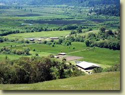 Mendocino County Real Estate, Cindy Lindgren - The Landlady, 850 Little Lake Ranch, Reynolds Highway, Willits