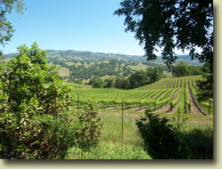 Ukiah Real Estate Sold by Cindy Lindgren -The Landlady, Reeves Canyon
