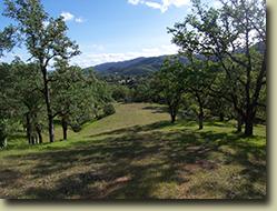 Ukiah Real Estate Sold by Cindy Lindgren -The Landlady, Yokayo Ranch Lot #1