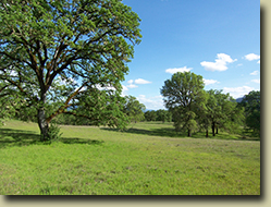 Ukiah Real Estate Sold by Cindy Lindgren -The Landlady, Yokayo Ranch Lot #2